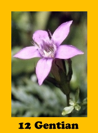 G01